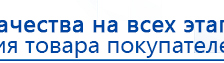 Электроды Скэнар -  двойной овал 55х90 мм купить в Балахне, Электроды Скэнар купить в Балахне, Официальный сайт Дэнас kupit-denas.ru